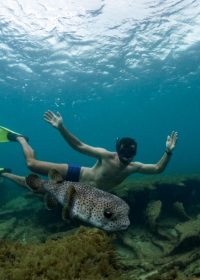 Fotos Subaquáticas Noronha (9)