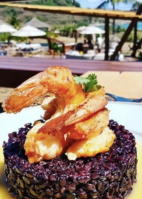 Tour Gastronômico Prato Camarao