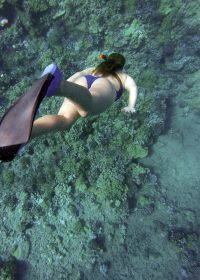 noronhei-acqua-tour-fernando-de-noronha